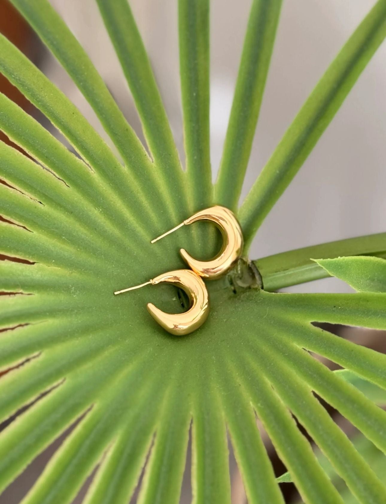 Media Luna Dorada Earrings